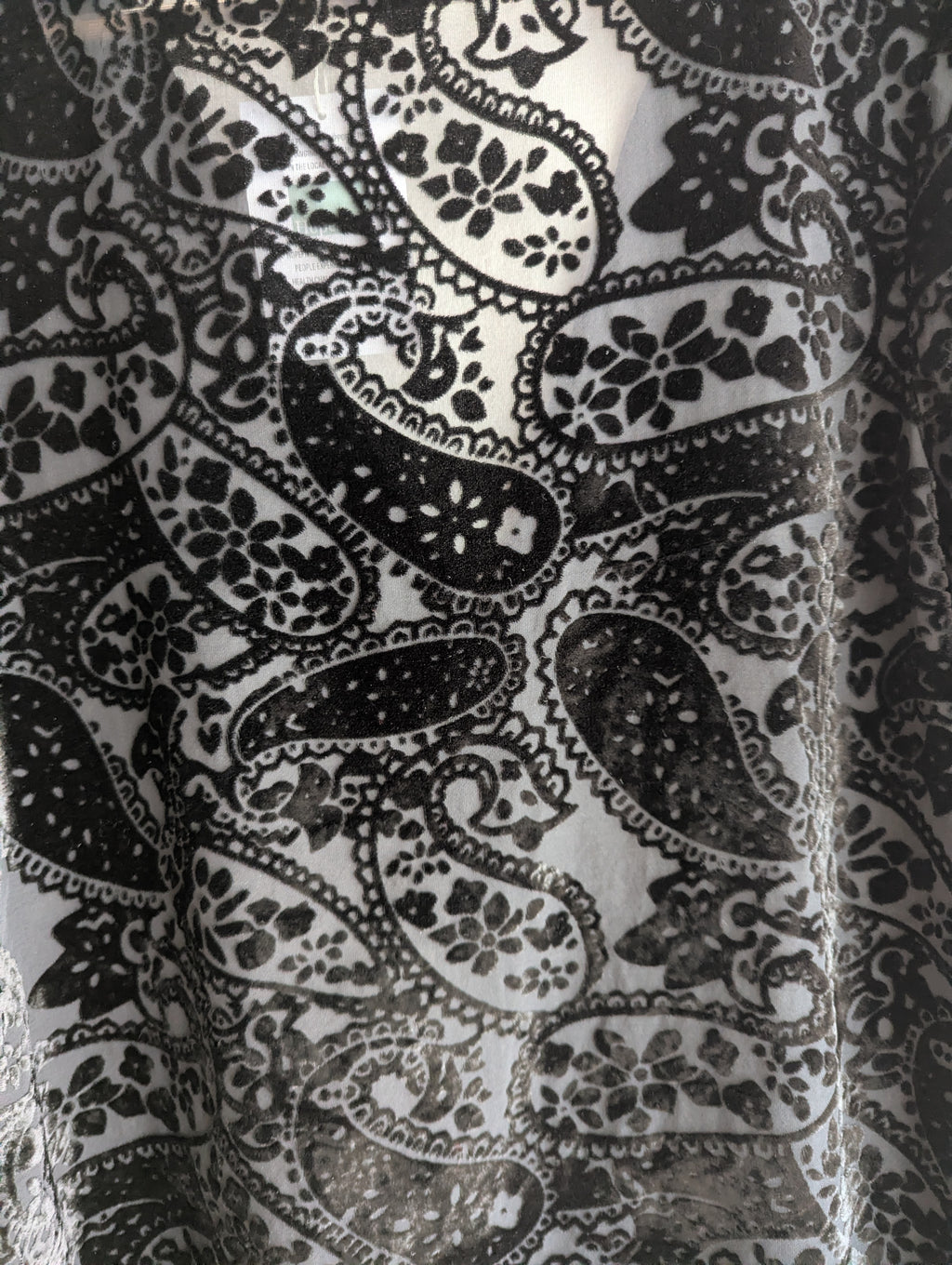 Blue Illusion Paisley Velvet Black Dress