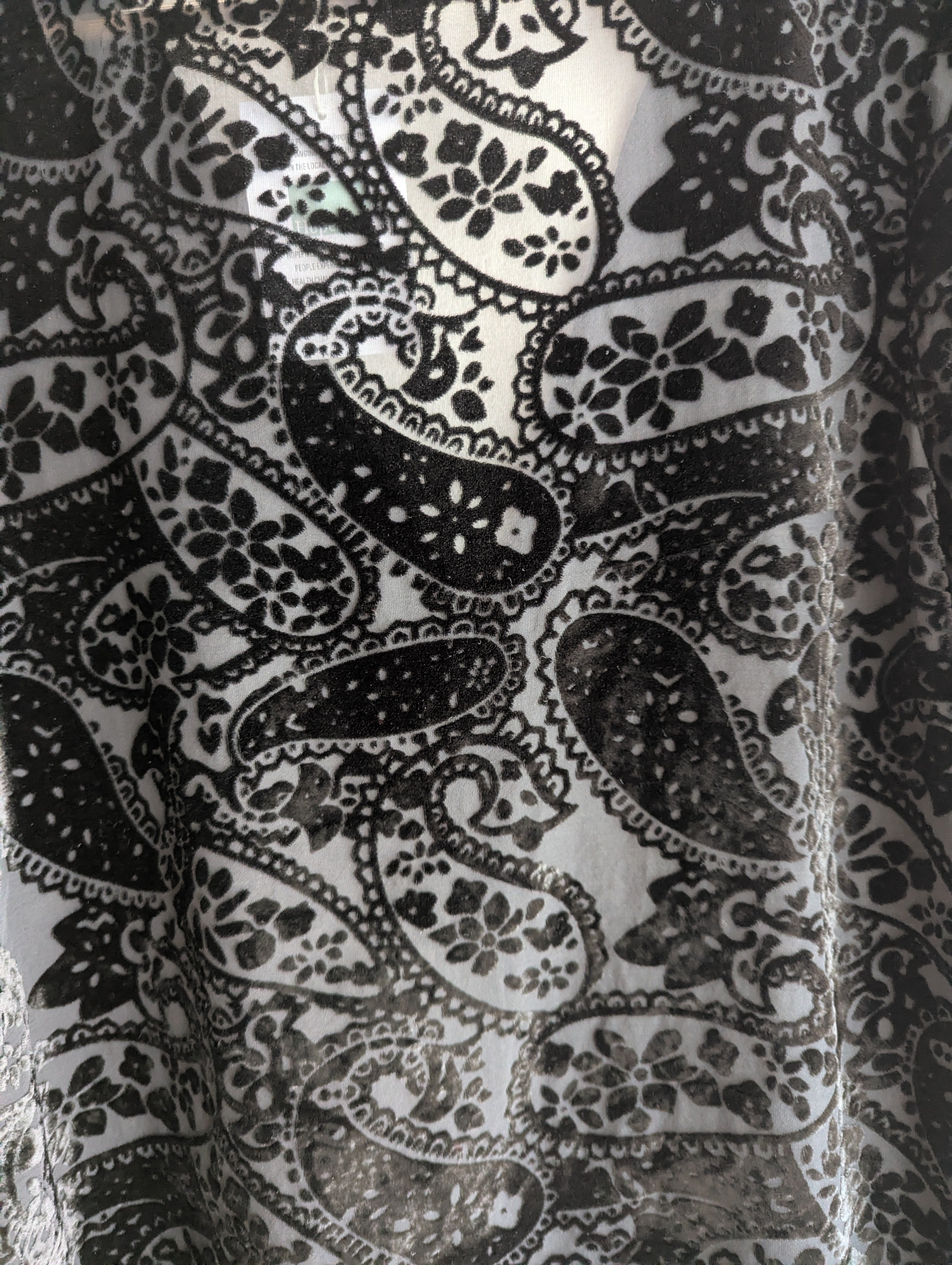 Blue Illusion Paisley Velvet Black Dress